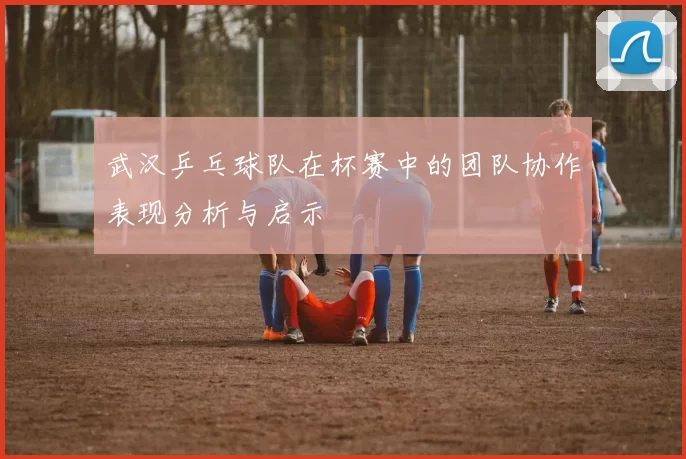武汉乒乓球队在杯赛中的团队协作表现分析与启示