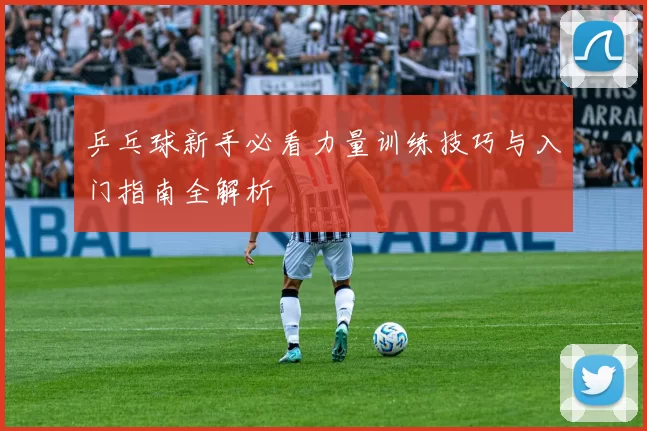 乒乓球新手必看力量训练技巧与入门指南全解析