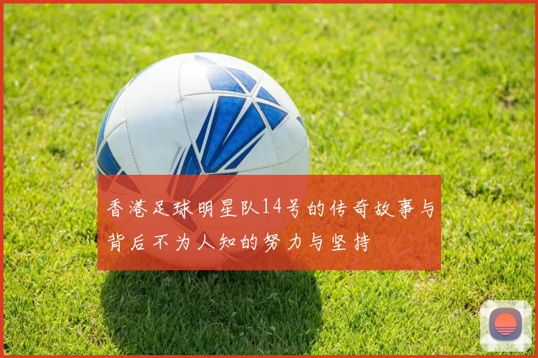 香港足球明星队14号的传奇故事与背后不为人知的努力与坚持