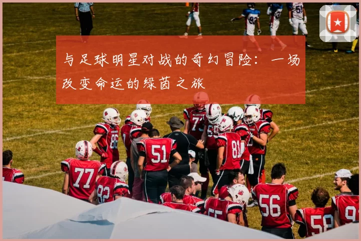 与足球明星对战的奇幻冒险：一场改变命运的绿茵之旅