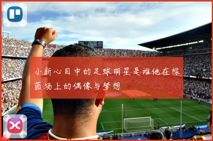 小新心目中的足球明星是谁他在绿茵场上的偶像与梦想