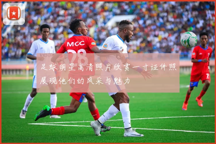 足球明星高清照片欣赏一寸证件照展现他们的风采与魅力
